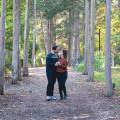 Romantic Activities in Westchester County, New York